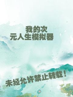 我的次元人生模拟器