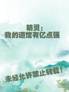 精灵：我的道馆有亿点强