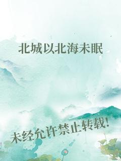 北城以北海未眠