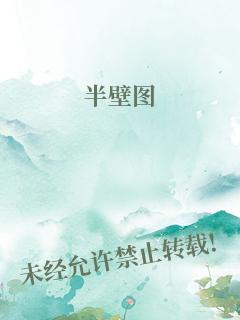 半壁图