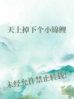 天上掉下个小锦鲤