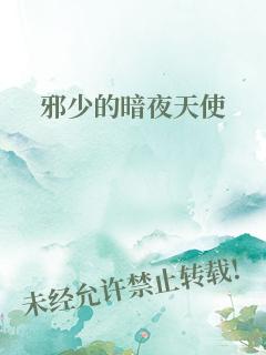 邪少的暗夜天使