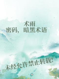 术雨密码，暗黑术语