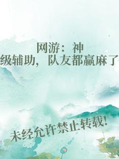 网游：神级辅助，队友都赢麻了