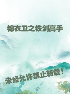 锦衣卫之铁剑高手