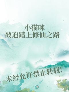 小猫咪被迫踏上修仙之路