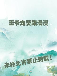 王爷宠妻路漫漫