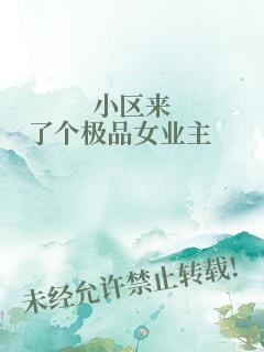 小区来了个极品女业主